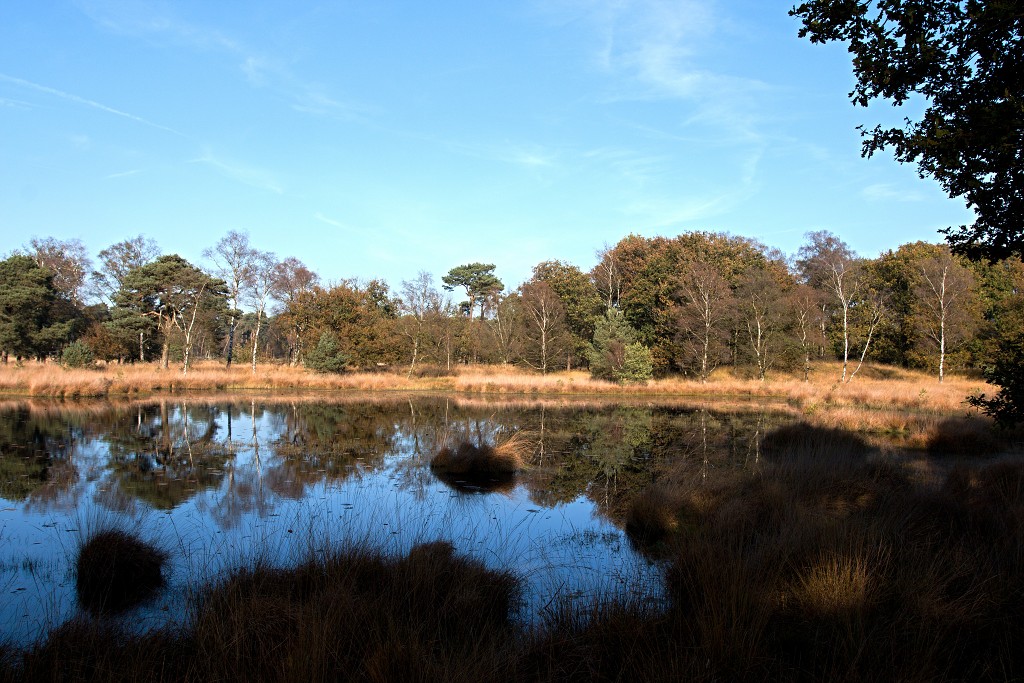 Oisterwijkse Bossen en Vennen Kampina natuurgebied natuur hdr oisterwijk Nationaal park Landschap Het Groene Woud hei heide bossen natuurmonumenten brabant